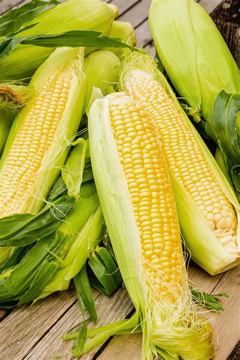 Fresh Corn .